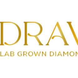 DRAVYA logo